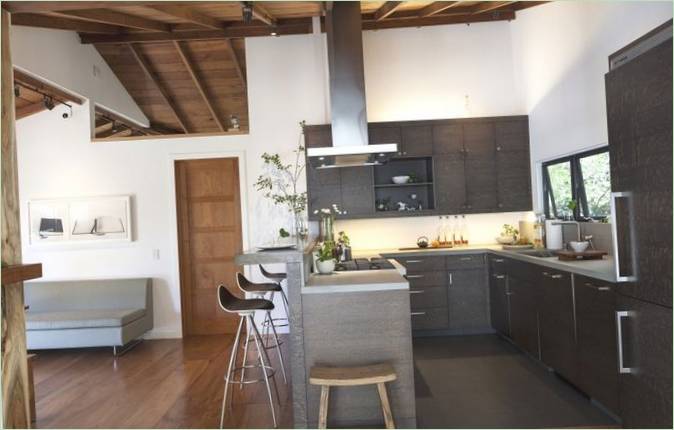Design by Feldman Architecture er et gammelt husrenoveringsprojekt i Californien, USA