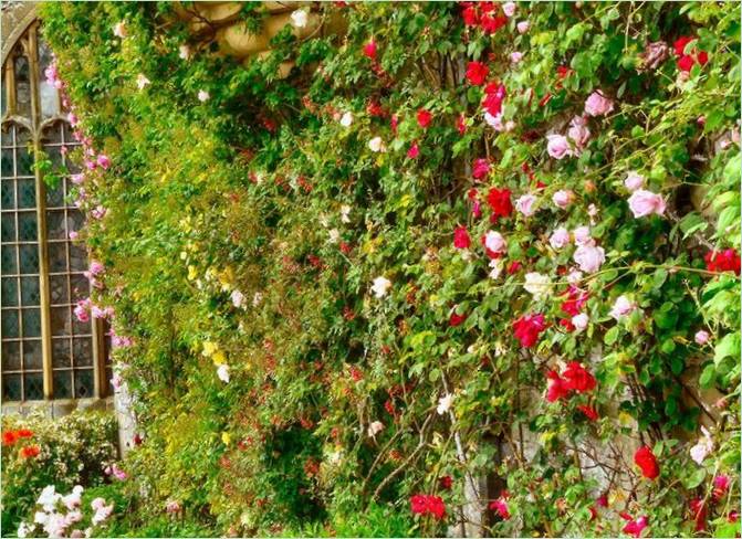 Haddon Hall Garden på Medieval Manor