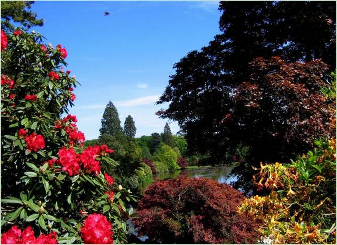 Classic Sheffield Park i England