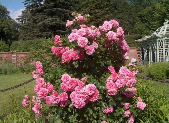 Old Westbury Gardens i USA