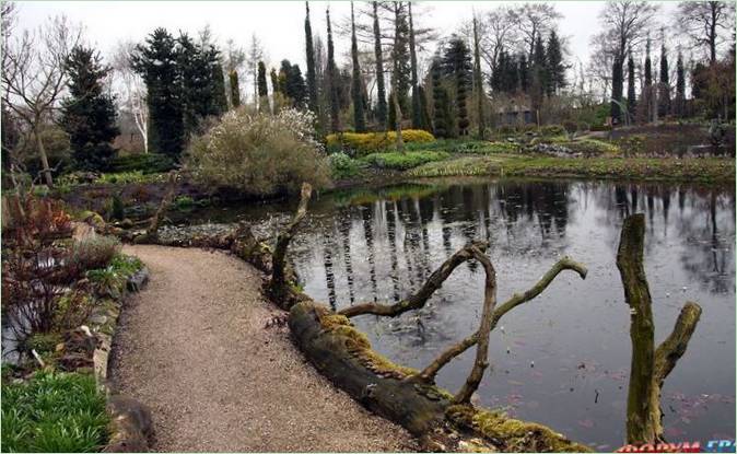 Ada Hofman vandbotanisk have