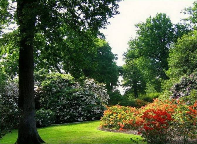 Classic Sheffield Park, England