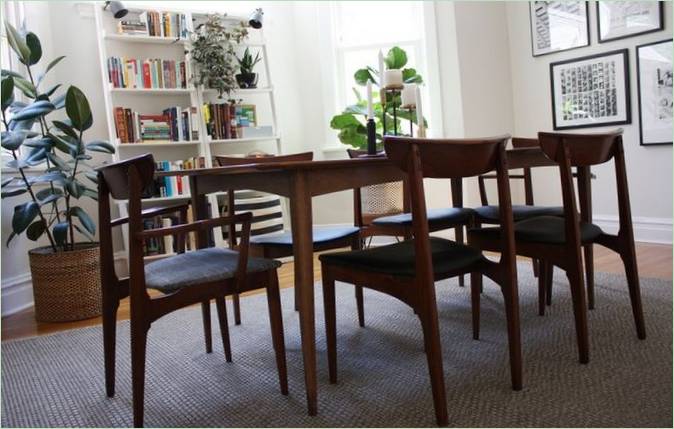 Smukke planter til huset: Ficus lyre (til højre), Ficus rubberii (til venstre)