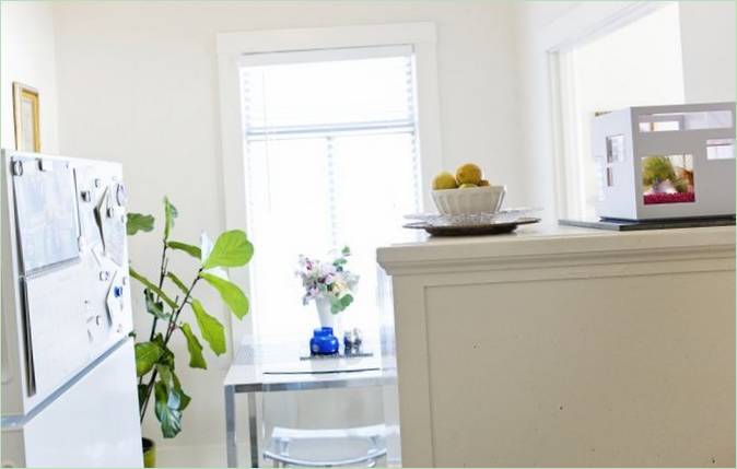Smukke planter til dit hjem: Ficus liriformis foto 1