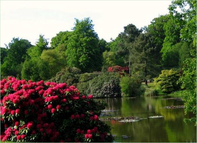 Den klassiske Sheffield Park i England