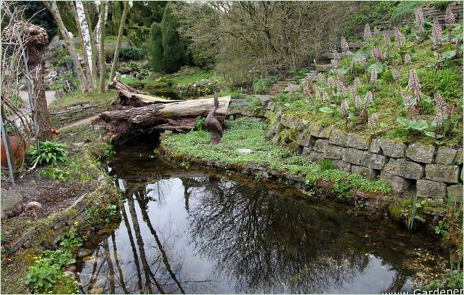 Ada Hoffmans vandbotaniske have