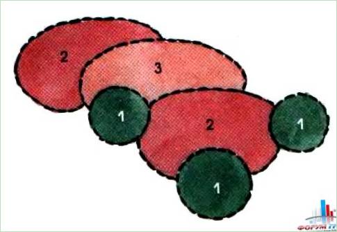 Blomsterbed med skyggetolerante planter
