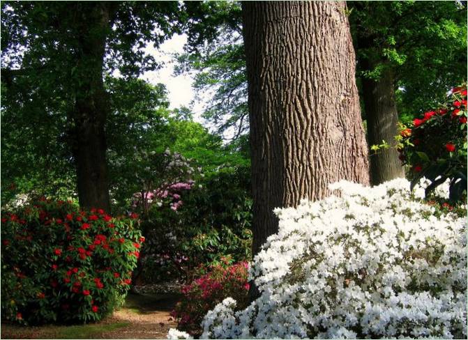 Classic Sheffield Park, England