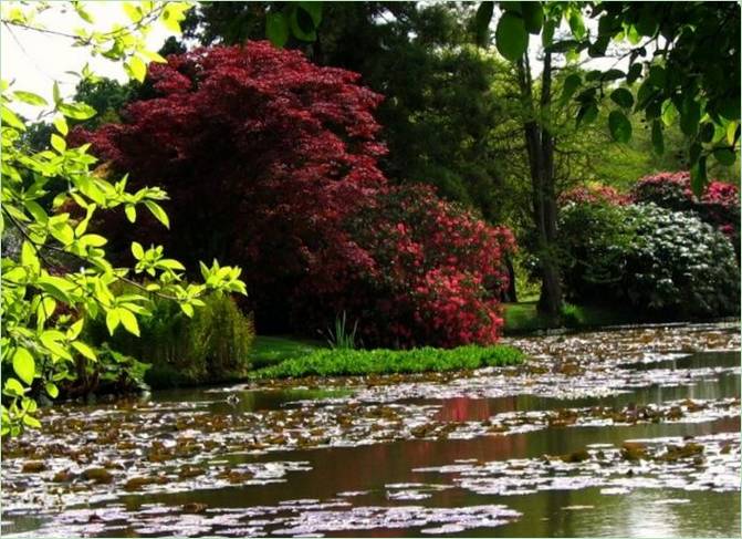 Sheffield Classic Park, England