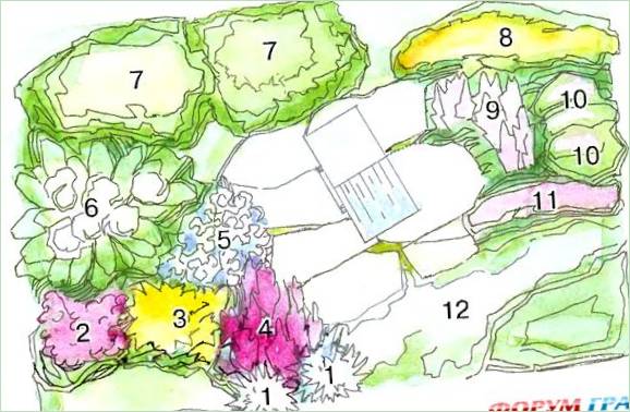 En blomsterordning for området omkring brønden
