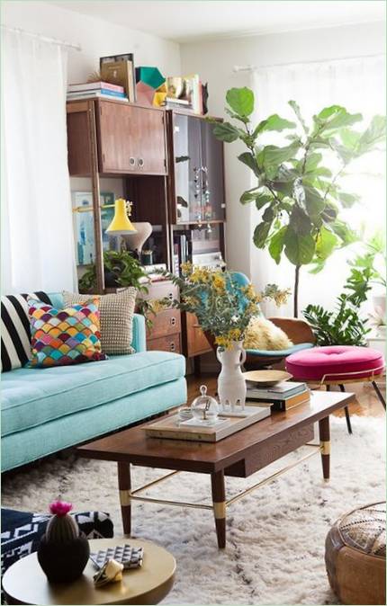 Smukke planter til hjemmet: Ficus liriformis foto 4