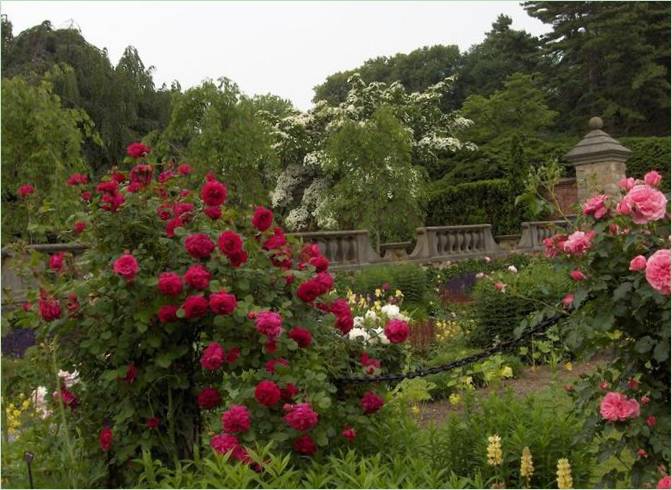 Old Westbury Gardens i USA