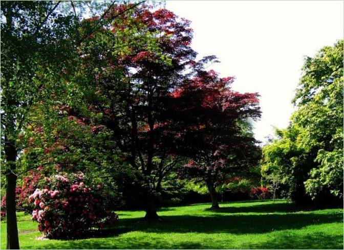 Sheffield Classic Park i England